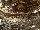 P9256469_7_8.jpg (     2.7MB)