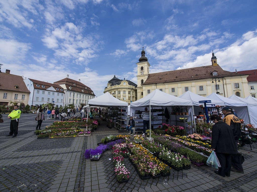 Sibiu 08